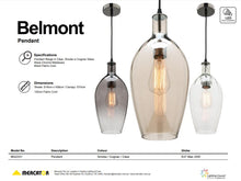 Load image into Gallery viewer, Belmont Pendant Clear Glass