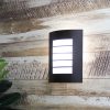 Load image into Gallery viewer, Cheeta Black Outdoor Light